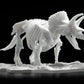 Dinosaur Model Kit LIMEX Skeleton Triceratops