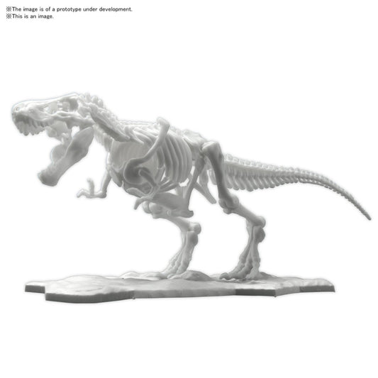 Dinosaur Model Kit LIMEX Skeleton Tyrannosaurus