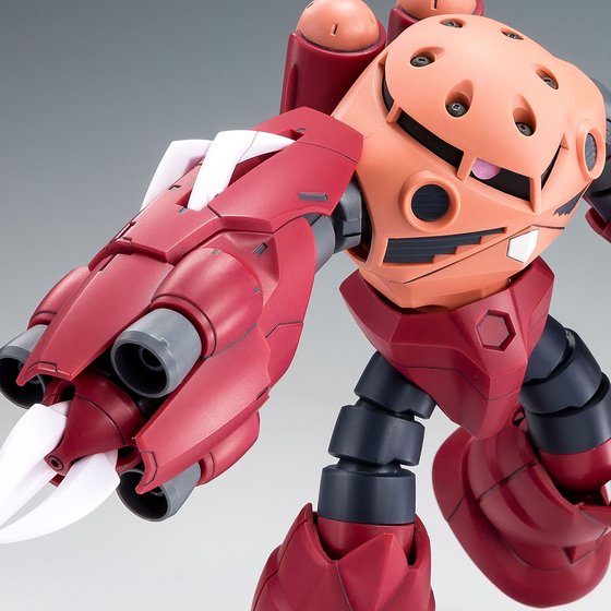 HGBF 1/144 Amazing Z’Gok