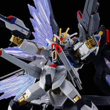 HG 1/144 Strike Freedom Gundam Type-II & Wings of Light Effect Set