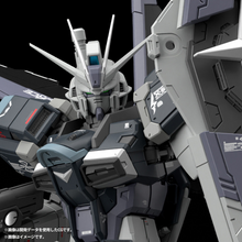 RG 1/144 Force Impulse Gundam [DEACTIVATE MODE]