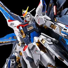 RG 1/144 Strike Freedom Gundam [Titanium Finish]